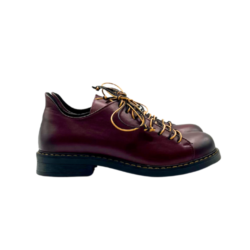 Scarpa allacciata
