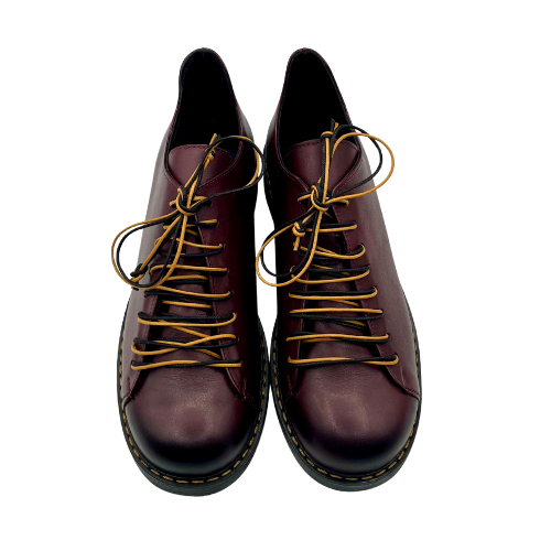 Scarpa allacciata