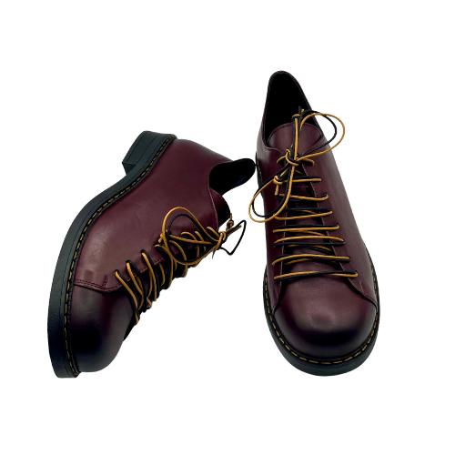 Scarpa allacciata